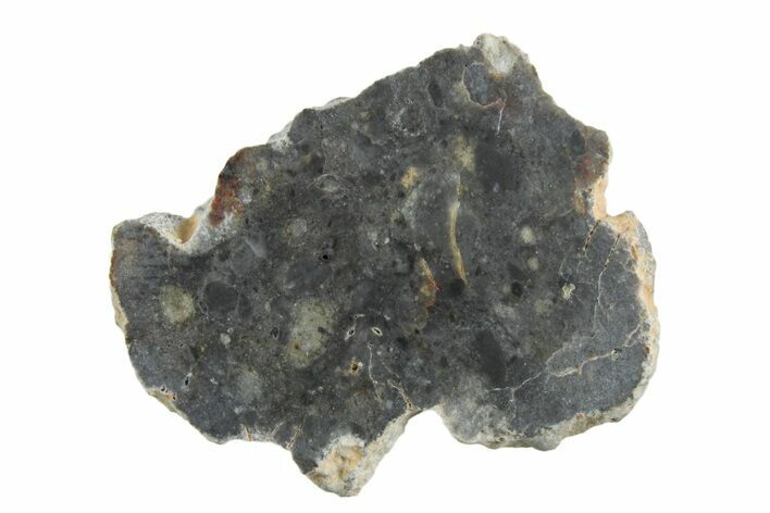 Lunar Meteorite ( g) Slice - Bechar #348165